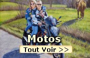 Peintures sur les motos