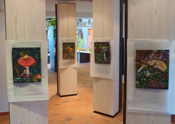 tableaux 3D sur les champignons - Virginie Trabaud Artiste Peintre