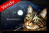 Peinture sur bois - chat tigré nuit - plaque de porte - virginie trabaud