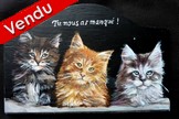 Peinture sur bois - 3 chatons maine coon- plaque de porte