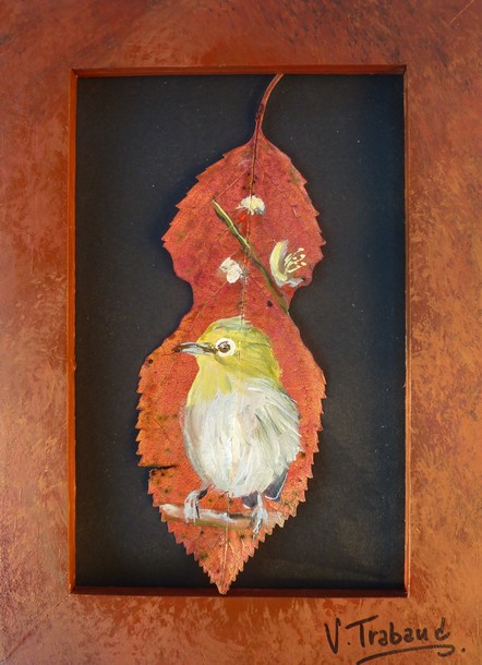 peinture Oiseau Zostérops à dos gris - Acrylique sur feuille de cerisier - Virginie TRABAUD