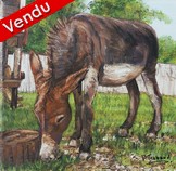 Peinture Ane du Moulin de Vanneau - Virginie Trabaud Artiste Peintre Animalier