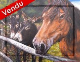 peinture anes et cheval d'après photos - artiste peintre