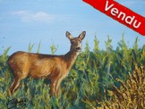 Peinture Biche dans le champs - Artiste peintre animalier Virginie Trabaud