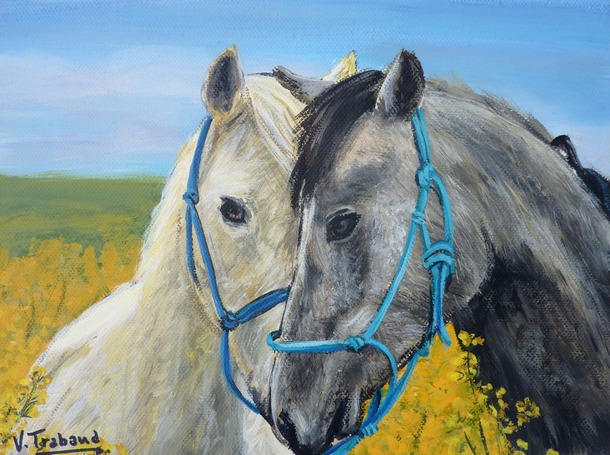 peinture Calin de chevaux - acrylique sur toile - virginie trabaud artiste peintre animalier
