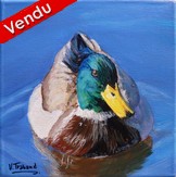 peinture acrylique canard colvert - Cliquez sur l image pour voir la fiche détaillée de l oeuvre
