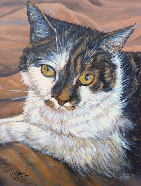 peinture portrait de chat europen ecaille de tortue- acrylique - Virginie Trabaud artiste peintre