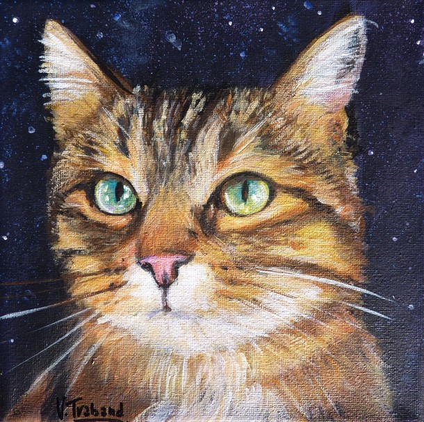 Portrait de chat europen tigr de nuit - acrylique - virginie trabaud