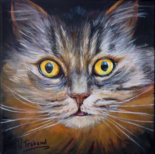 Portrait de Chat europen - Peinture Acrylique - Virginie TRABAUD Artiste peintre