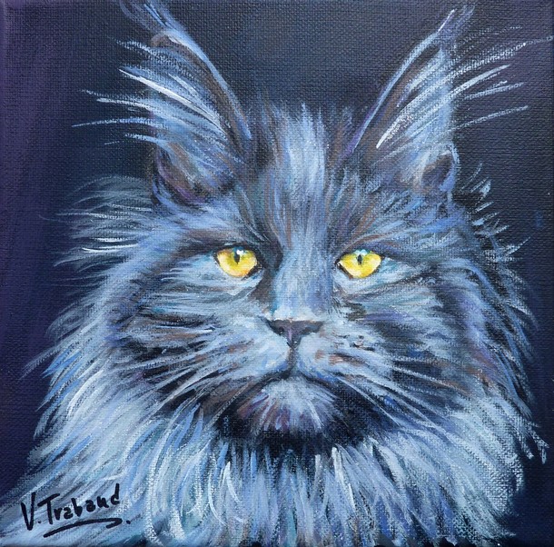 Peinture Portrait de Maine coon Blue Smoke - acrylique - Virginie Trabaud Artiste peintre Animalier