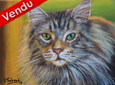 Portrait chat maine coon vismo - Peinture acrylique - Cliquez sur l'image pour voir la fiche détaillée