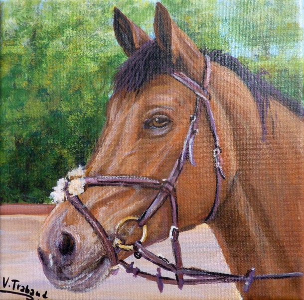 Portrait cheval bai marron crinière noire peinture acrylique - virginie TRABAUD Artiste Peintre