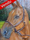 portrait de cheval cuivré en forêt - Cliquez sur l image pour voir la fiche détaillée détaillée et consulter le tarif de l oeuvre