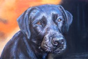 Peinture en Relief 3D - - Labrador noir - Cliquez sur l'image pour voir la fiche et l'agrandissement