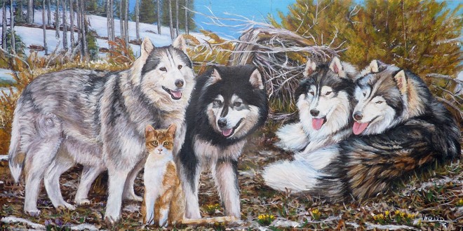 Peinture Chiens Malamute de l Alaska et chat paysage hiver - Acrylique sur toile d après photos - virginie trabaud
