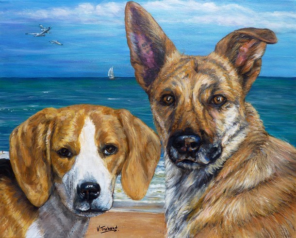 Peinture de chiens beagle et berger malinois d'aprs photos - Virginie TRABAUD