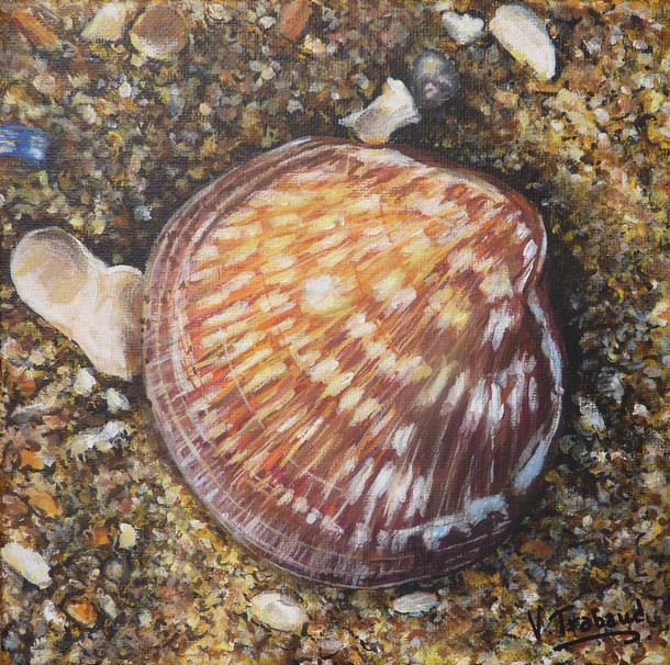 Peinture de Coquillages et amande sur la plage - acrylique Virginie TRABAUD Artiste Peintre
