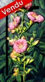 peinture Fleurs et Coccinelles - Cliquez sur l image pour voir la fiche détaillée et consulter le tarif de l oeuvre