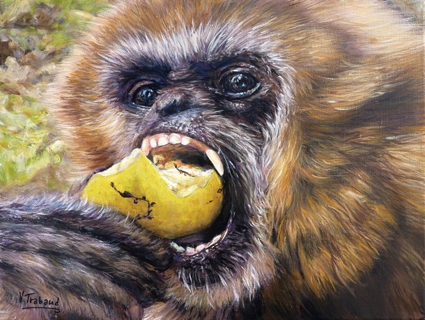 Peinture Gibbon croquant une pomme - Acrylique - Virginie TRABAUD Artiste Peintre