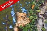 peinture chat persan dans l'arbre - Virginie Trabaud artiste peintre Animalier