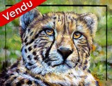 peinture femelle léopard parc des félins - Virginie Trabaud artiste peintre Animalier 