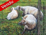 Tableau de Peinture Les Moutons en relief 3D - Virginie Trabaud Artiste Peintre
