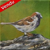 Peinture acrylique - Moineau oiseau miniature - Virginie Trabaud artiste peintre