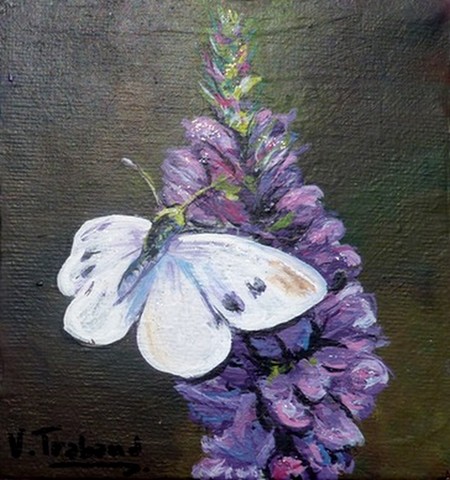 peinture papillon blanc sur une fleur - Virginie trabaud artiste peintre