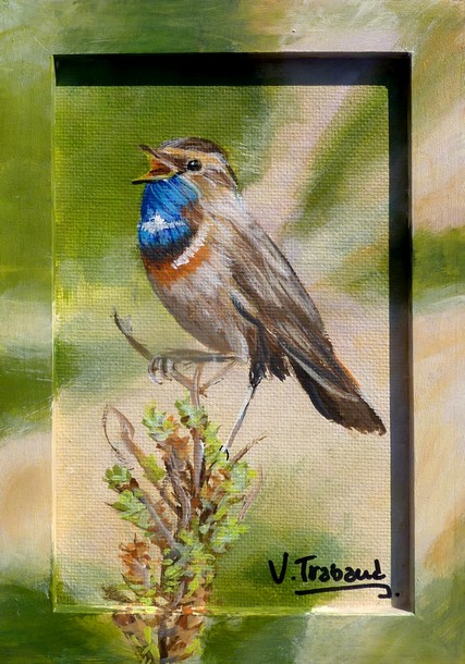 Peinture Gorgebleue à miroir oiseau - acrylique - Virginie TRABAUD Artiste peintre