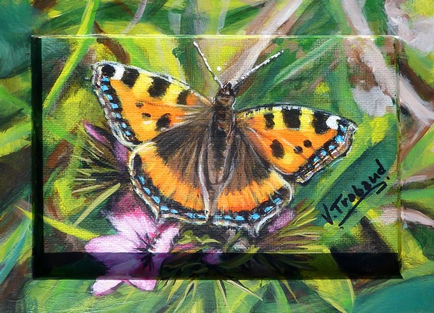 Peinture Papillon orange petite tortue - Acrylique sur toile miniature - Virginie TRABAUD Artiste Peintre
