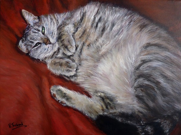 Peinture chat couch sur le dos d'aprs photo - acrylique - virginie Trabaud artiste peintre