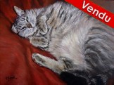 Peinture chat europen allong sur un lit - Cliquez sur l'image pour voir la fiche et l'agrandissement