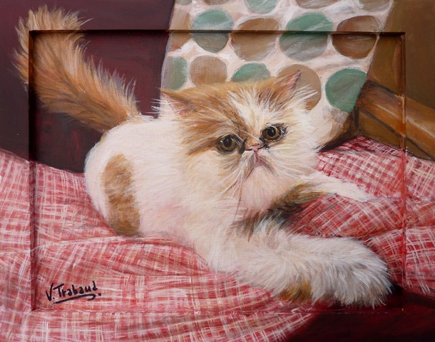 Peinture chat persan blanc et roux allong sur une couverture - acrylique - virginie trabaud