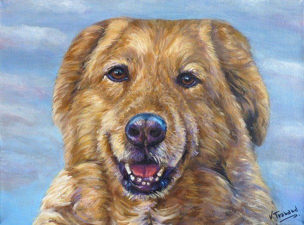 Peinture Portrait de gros chien hovawart d'aprs photo Virginie Trabaud Artiste Peintre Animalier