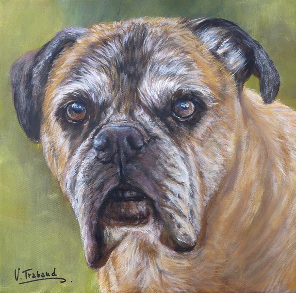 Peinture portrait de chien Boxer d'aprs photo - acrylique virginie trabaud artiste peintre