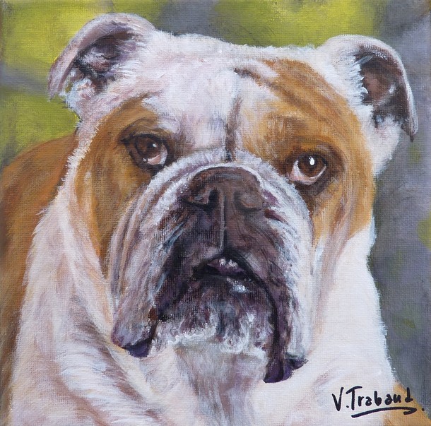 Peinture portrait de chien bulldog d'aprs photo - acrylique virginie trabaud artiste peintre