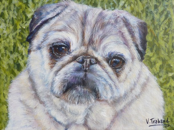 Peinture portrait de chien carlin d'aprs photo - acrylique virginie trabaud artiste peintre
