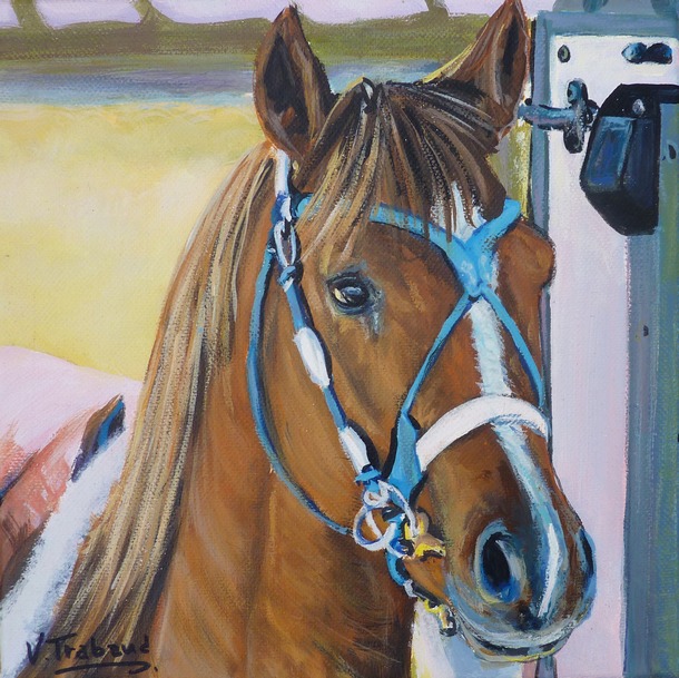 Peinture Portrait de cheval de course - acrylique sur toile - Virginie Trabaud Artiste Peintre animalier