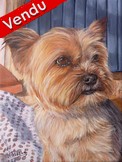 Peinture acrylique - Portrait de Yorshire assis sur un coussin- Cliquez sur l'image pour voir la fiche et l'agrandissement