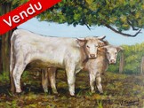 Peinture Vaches Blanches Charolaises - Virginie Trabaud Artiste Peintre Animalier