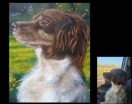 Portrait de chienne �pagneule de profil - Peinture acryilique Virginie TRABAUD