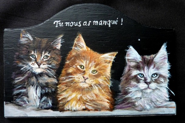 Plaque de porte chatons maine coon - Peinture acrylique sur bois - Virginie TRABAUD Artiste Peintre