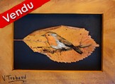 Peinture sur feuille d arbre Oiseau Rouge-gorge sur une branche - Cliquez sur l image pour voir la fiche détaillée
