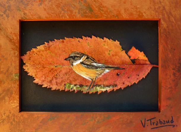 peinture Oiseau Tarier Pâtre Male - Acrylique sur feuille de cerisier - Virginie TRABAUD