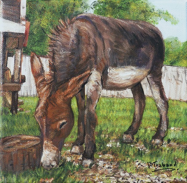 Peinture Ane du moulin de Vanneau - Virginie Trabaud Artiste Peintre Animalier