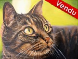 Peinture Portrait chat européen brun beige - acrylique - Virginie Trabaud Artiste Peintre