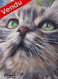 Peinture chat européen gris portrait - acrylique - Virginie Trabaud Artiste Peintre