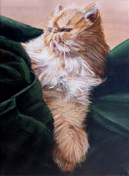 peinture chat persan roux et blanc - acrylique d'après photos - virginie trabaud