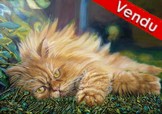 Peinture en Relief 3D -  Portrait de Chat persan roux dans un jardin - Virginie Trabaud