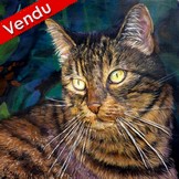 Peinture en Relief 3D - Portrait de chat tigré caline - Virginie Trabaud Artiste Peintre